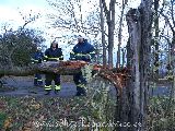 30.10.2008 Technická pomoc, spadlý strom, silnice V.O. - Jevíčko