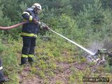 27.7.2013 Požár, lesní porost, V.O.