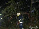 29.7.2013 Technická pomoc, odstranění stromu, Svárov
