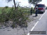 29.6.2018 Technická pomoc, odstranění stromu, Bezděčí