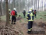 13.11.2018 Požár, lesní hrabanka, Pamětice 