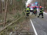 30.1.2022 Technická pomoc, odstranění stromu, Drválovice