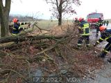 17.2.2022 Technická pomoc, odstranění stromů, Roubanina