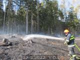 22.3.2022 Požár, lesní porost, Velké Opatovice