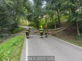 24.9.2025 TP, odstranění stromu, V.O.