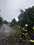 14.7.2026 TP, odstranění stromu, Malá Roudka