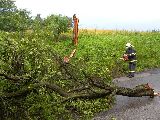 14.7.2009 Větrná smršť na pozemní komunikaci Letovice - Chlum